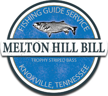 Melton Hill Bill Fishing Guide Service